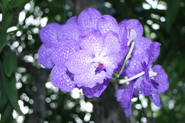 Similar image 18151904