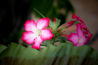 Similar image 18151906