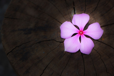 Similar image 18151915