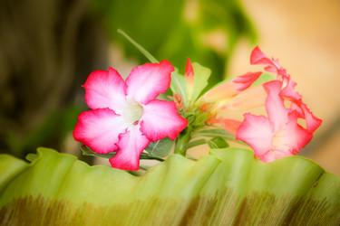 Similar image 18151917