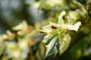 Similar image 18151936