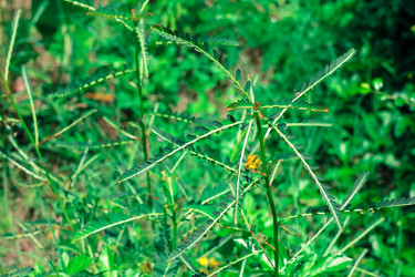 Similar image 18151892