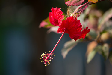 Similar image 18151919