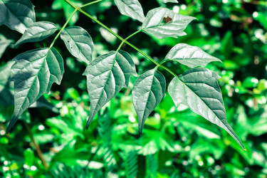 Similar image 18151940