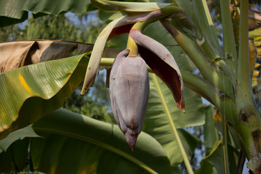 Similar image 18151893