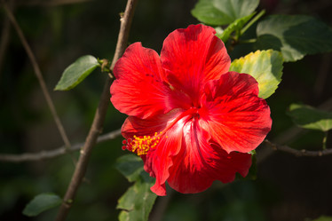 Similar image 18151895