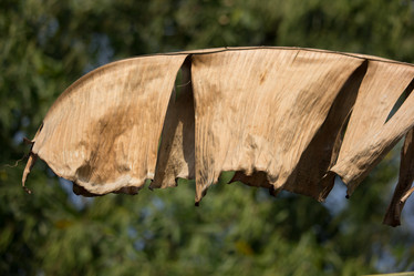 Similar image 18151923