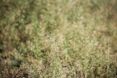 Similar image 18151927