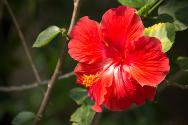 Similar image 18151926