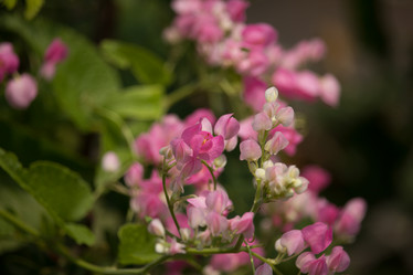 Similar image 18151930