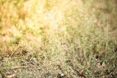 Similar image 18151931