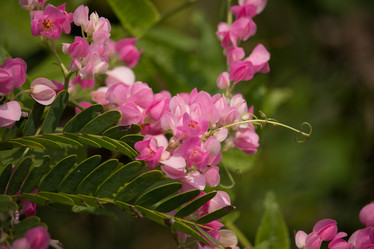 Similar image 18151933