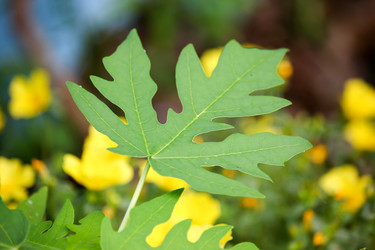 Similar image 18151941