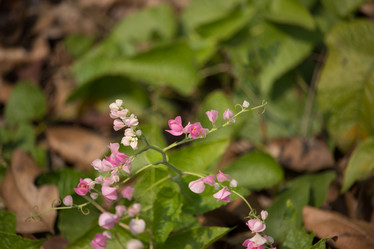 Similar image 18151942