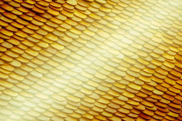 Similar image 18151899