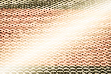 Similar image 18151945