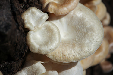 Similar image 18151966