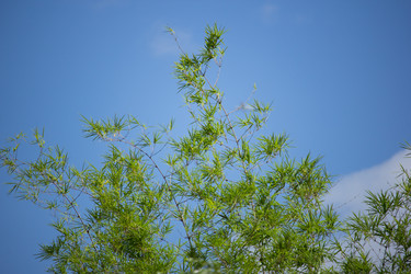 Similar image 18562792