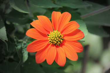 Similar image 18151863