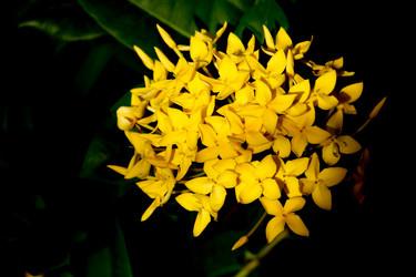 Similar image 18151864