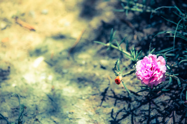 Similar image 18151872