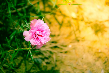 Similar image 18151874