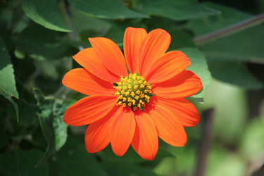 Similar image 18151876