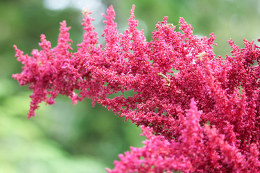 Similar image 18151879