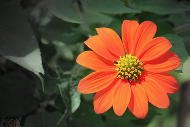 Similar image 18151909