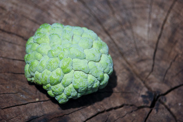 Similar image 18151950