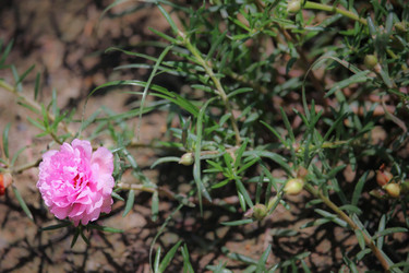 Similar image 18151964