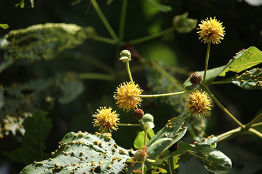 Similar image 18151955