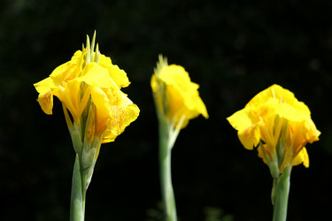 Similar image 18151956