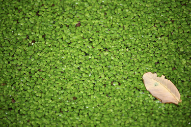 Similar image 18151958