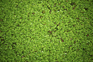 Similar image 18151959