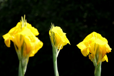 Similar image 18151960