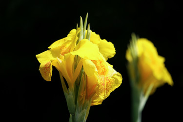 Similar image 18151961