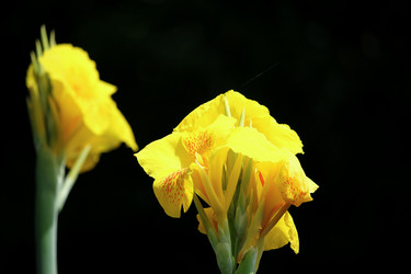 Similar image 18151962