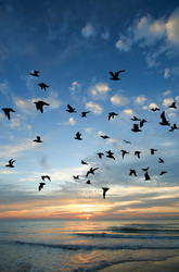 Similar image 18151965