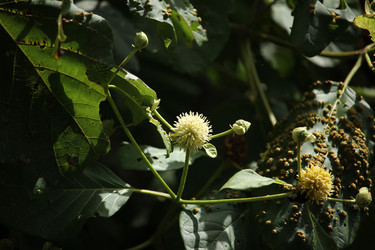 Similar image 18151968