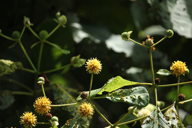 Similar image 18151969