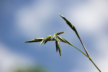 Similar image 18151971