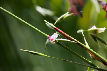 Similar image 18151980