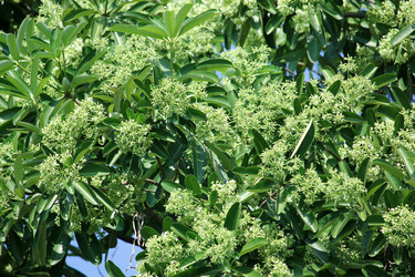 Similar image 18151982