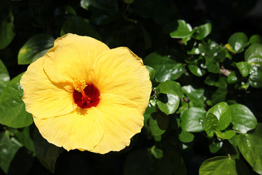 Similar image 18151987