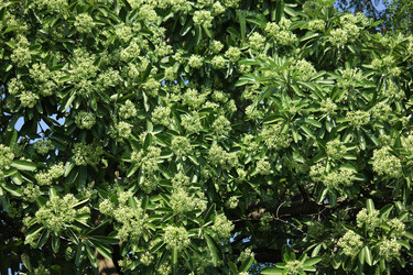 Similar image 18151978