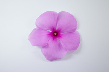 Similar image 18151985