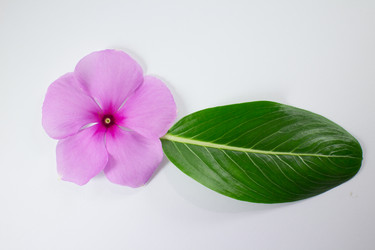 Similar image 18151988