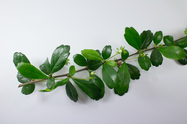 Similar image 18151991