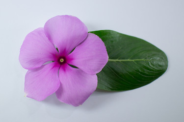 Similar image 18151992